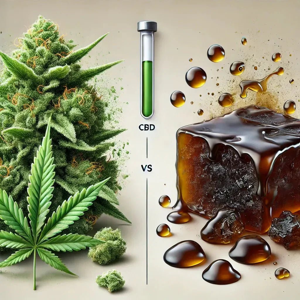 Les différents types de produits à base de CBD et leurs usages