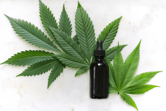 Les bienfaits du CBD : une révolution naturelle | Binks CBD