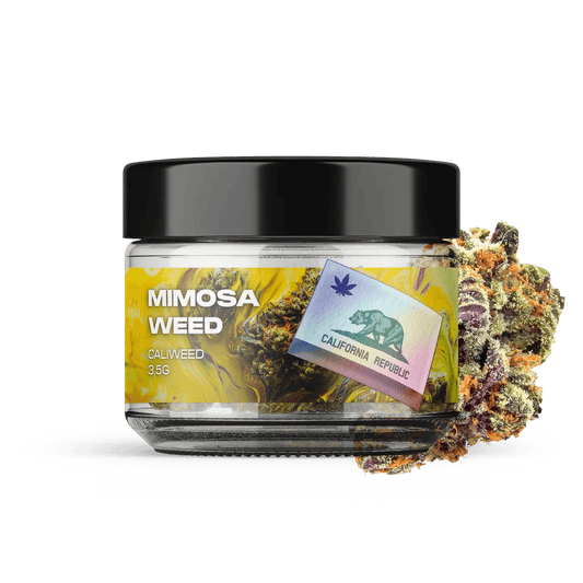 MIMOSA WEED