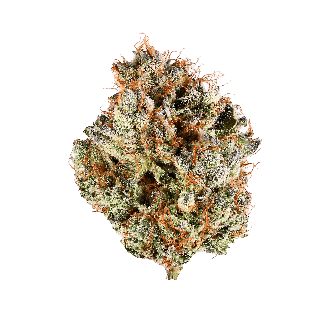 BLUEBERRY OG