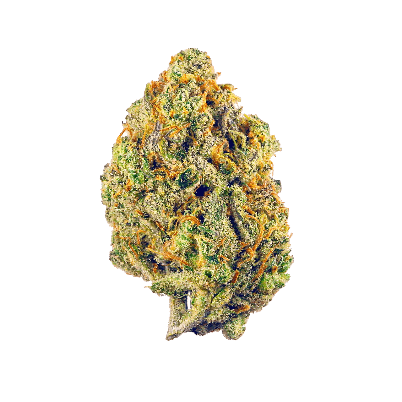 BLUE GELATO