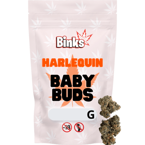 Harlequin baby buds fleur de CBD