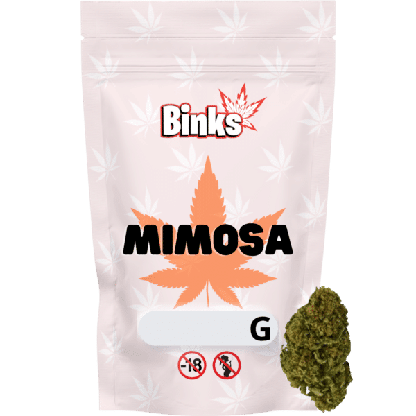 Mimosa fleur de CBD