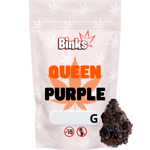 Queen purple fleur de CBD